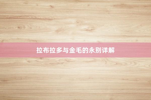 拉布拉多与金毛的永别详解
